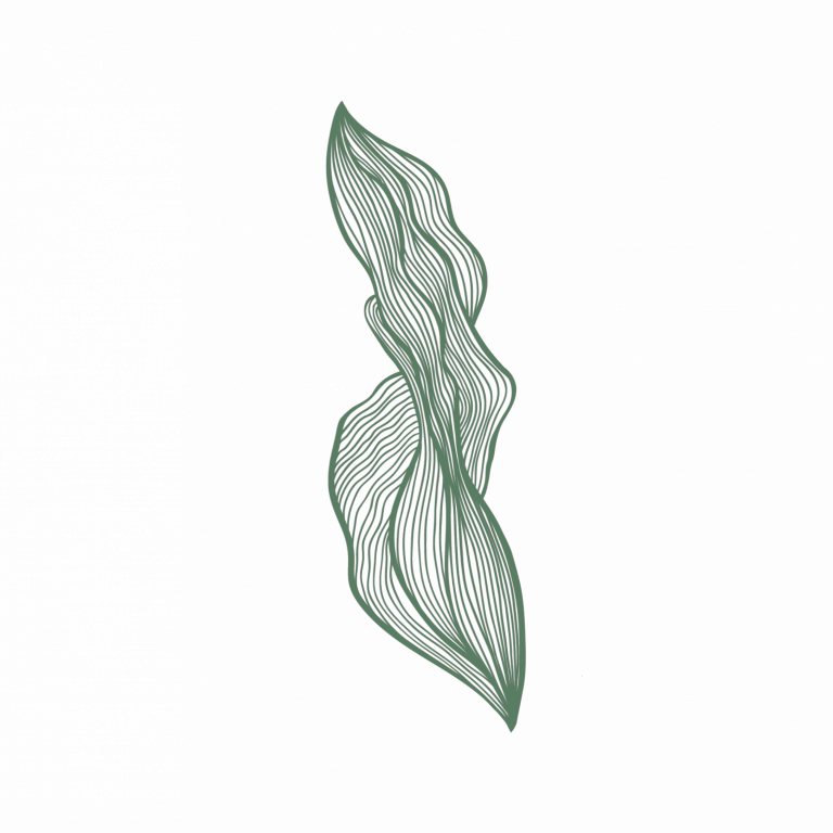 Logo S'AlgaHub